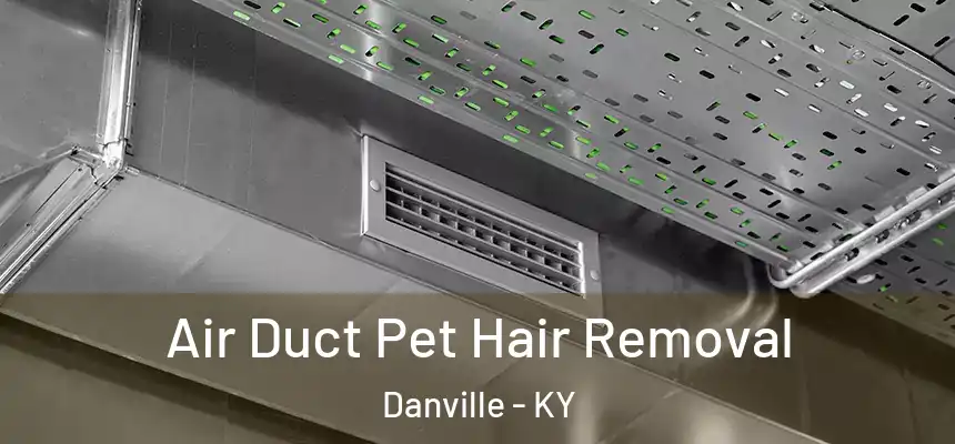 Air Duct Pet Hair Removal Danville - KY
