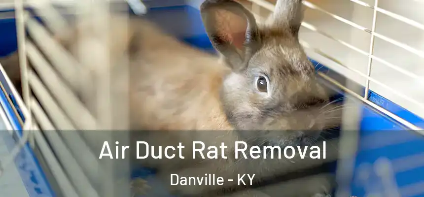 Air Duct Rat Removal Danville - KY
