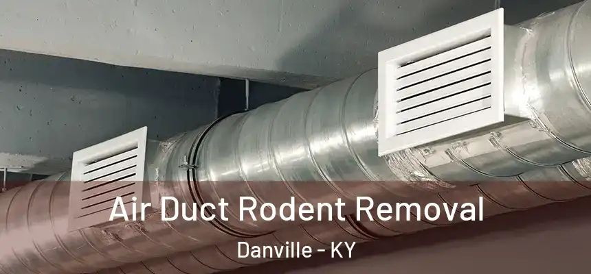  Air Duct Rodent Removal Danville - KY