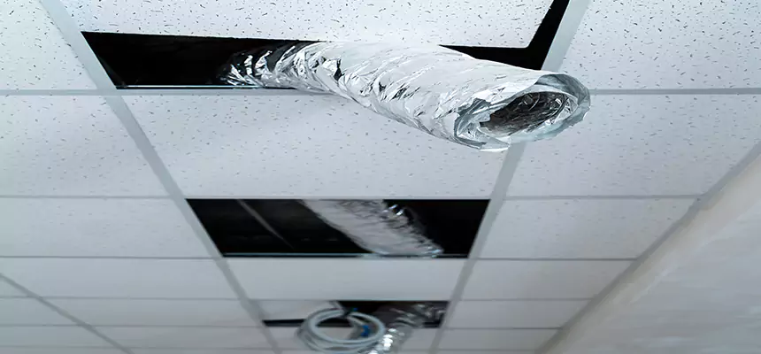 Our Air Duct Pet Hair Removal Services in Danville, KY