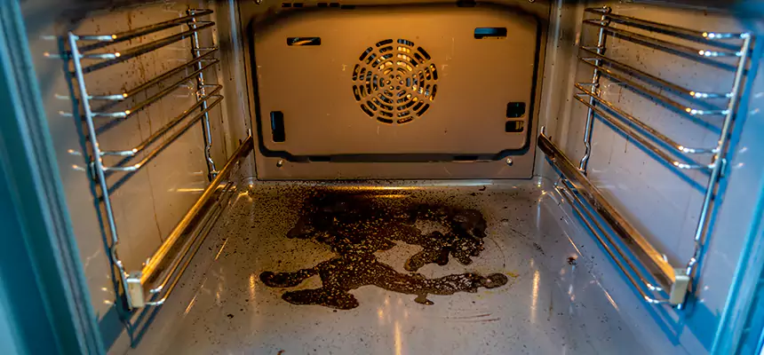 Our Dryer Vent Mold Cleaning Services in Danville, KY