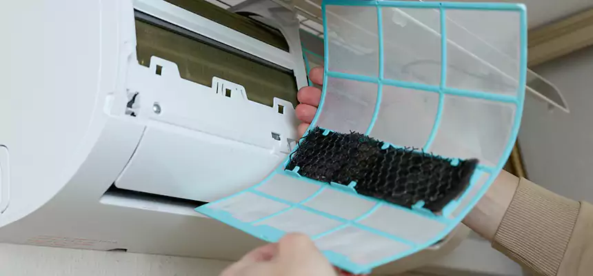 Gentle Ductwork Odor-Control Pet Dander Duct Cleaning in Danville, KY