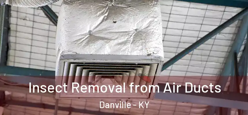 Insect Removal from Air Ducts Danville - KY