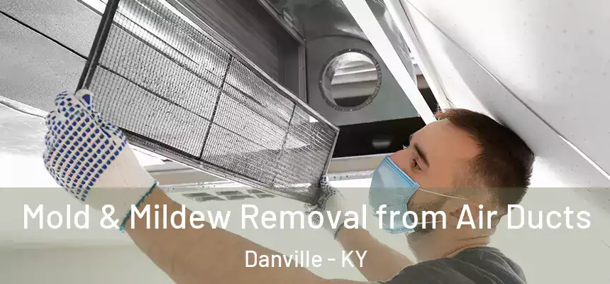 Mold & Mildew Removal from Air Ducts Danville - KY
