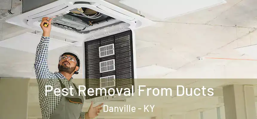 Pest Removal From Ducts Danville - KY