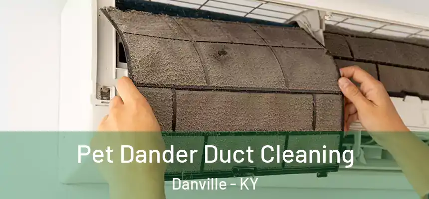Pet Dander Duct Cleaning Danville - KY