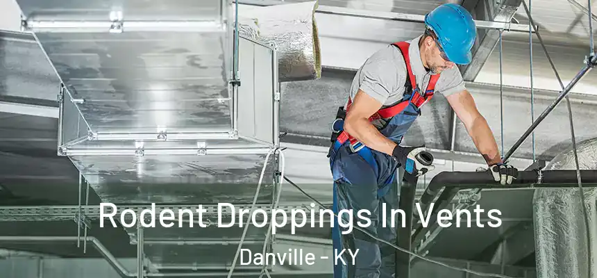  Rodent Droppings In Vents Danville - KY