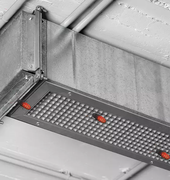 About Air Duct Cockroach Removal in Danville, KY