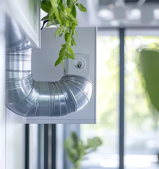 Professional Eco-Safe Dryer Vent Cleaning in Danville, KY