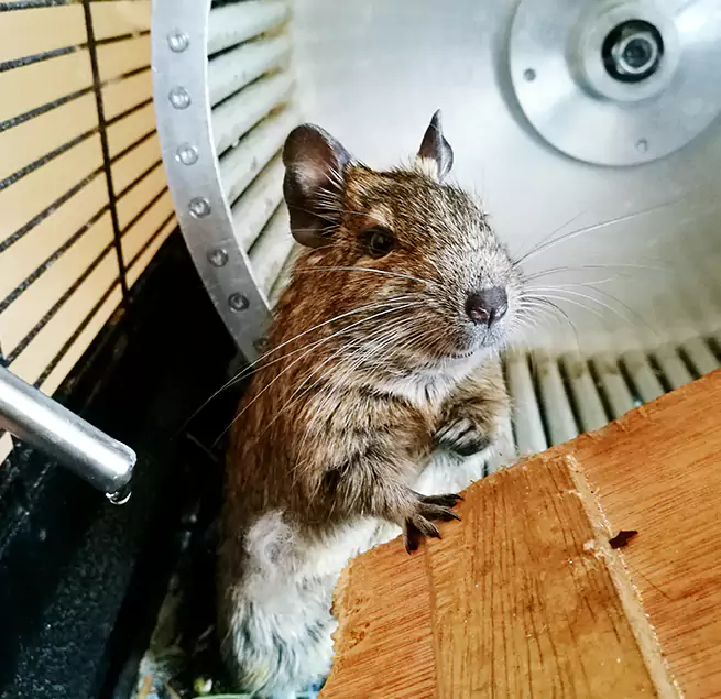 Why Homeowners & Businesses Trust Us Danville, KY?