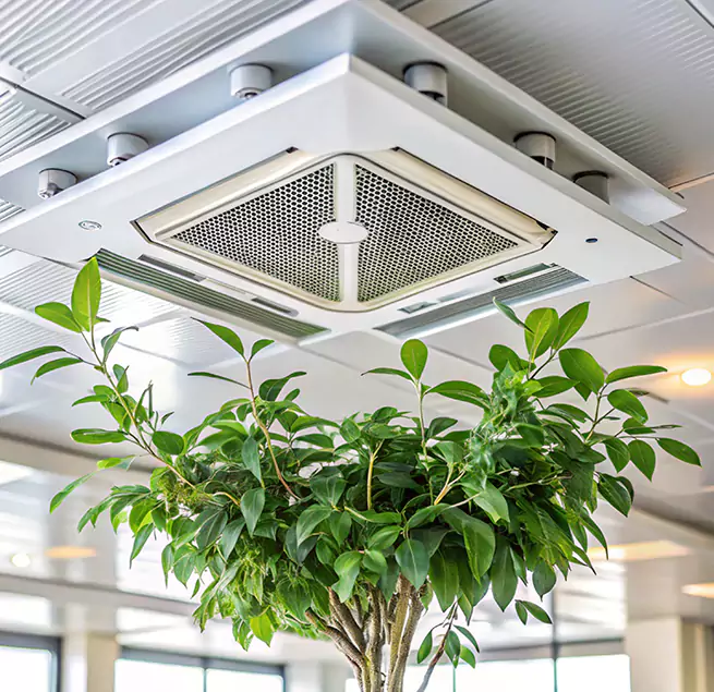 Why Homeowners & Businesses Trust Us in Danville, KY?