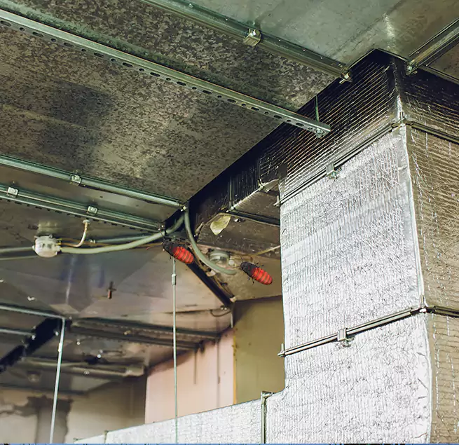 Why Homeowners & Businesses Trust Us Danville, KY?