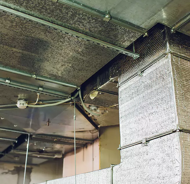 Why Homeowners & Businesses Trust Us in Danville, KY?